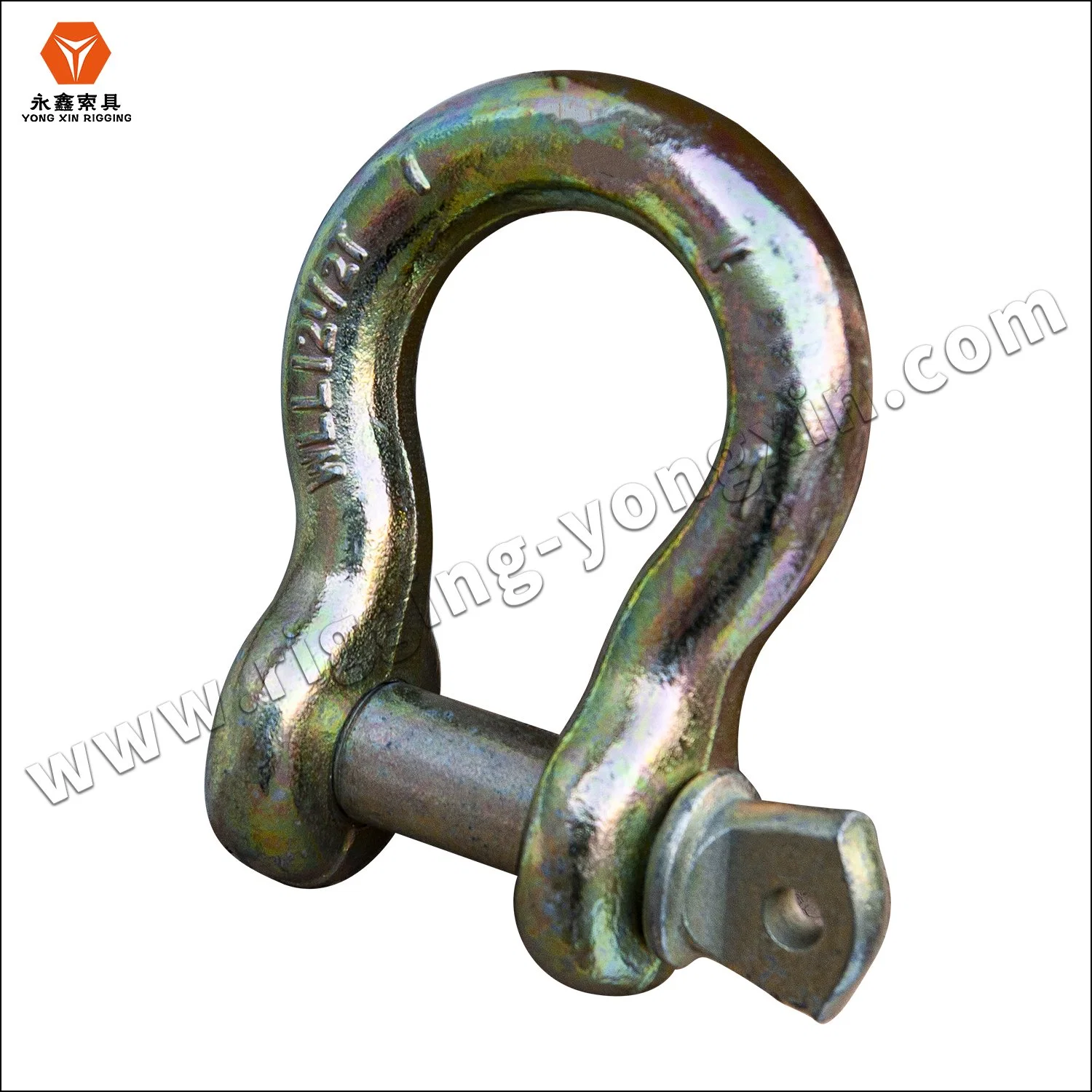 European Type High quality/High cost performance  Polished Screw Pin Forged Stainless Steel 304/316 Marine Anchor Lifting Chain D Shackles