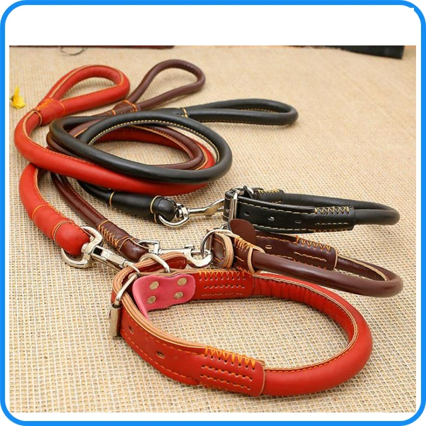 Factory Best Leather Pet Collar for Dogs (HP-106)