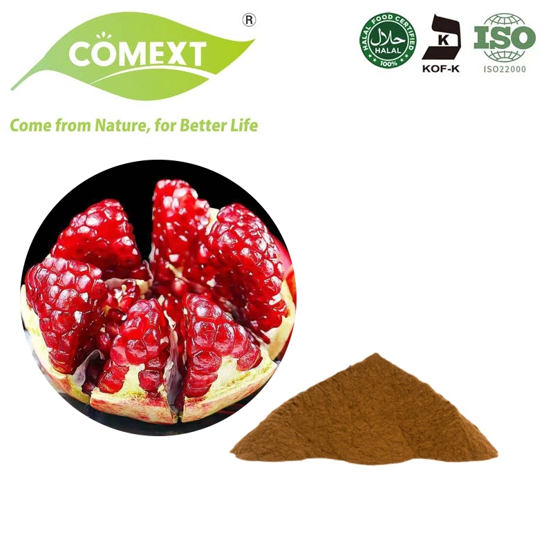 Soluble Pomegranate Peel Extract CAS 476-66-4 Pure 90% 40% Ellagic Acid