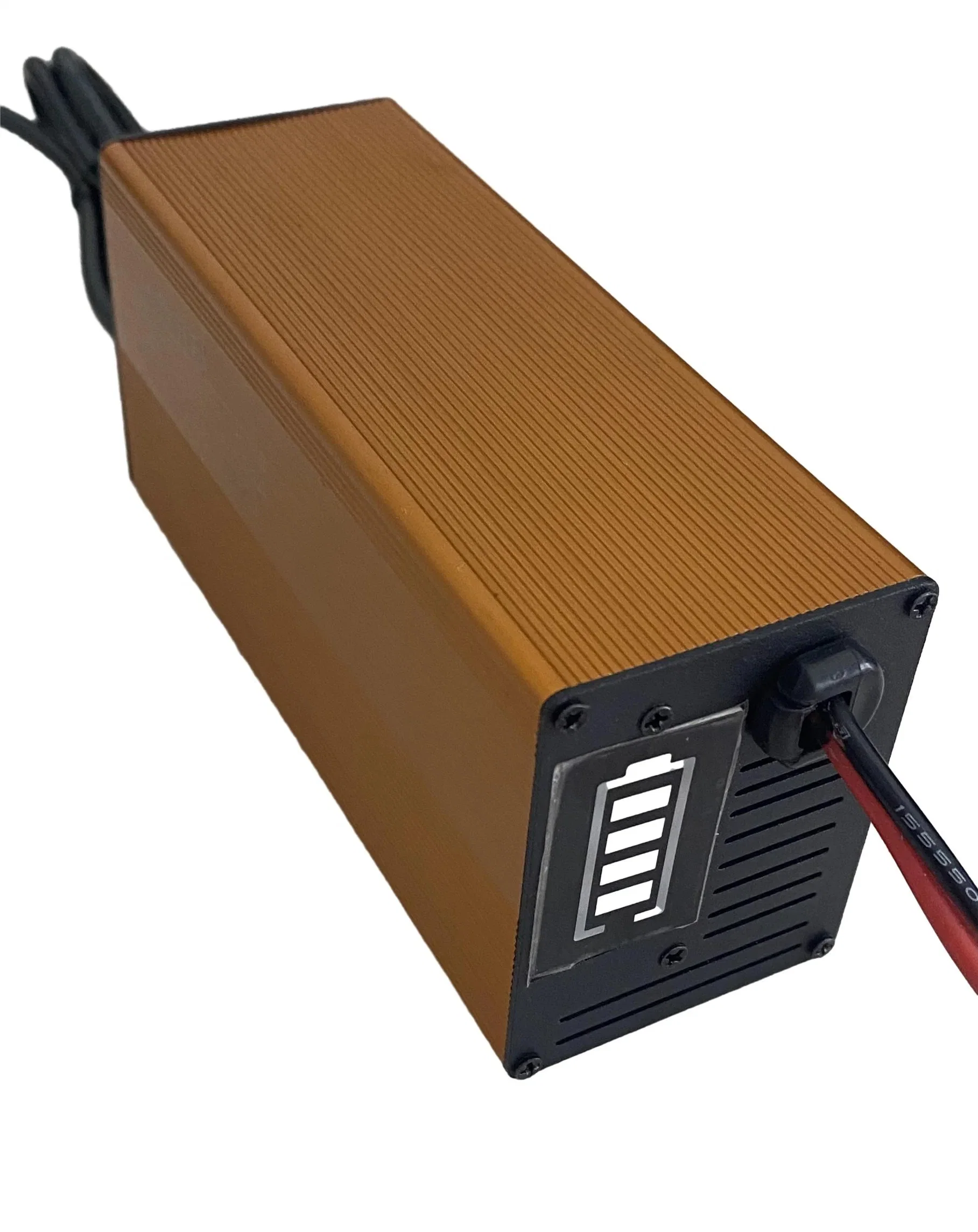 12.6V-8A Customized Lithium Ion LiFePO4 Battery Charger