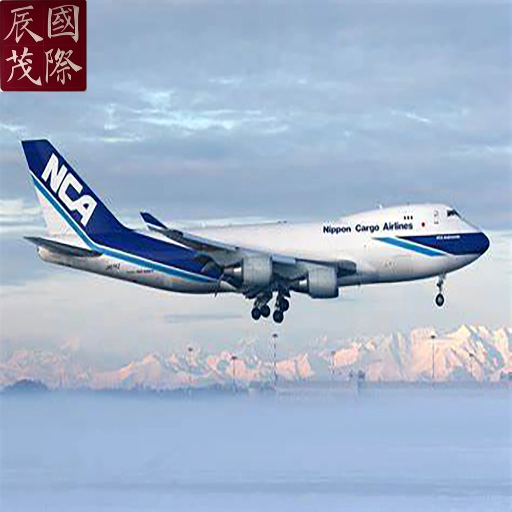 Livraison rapide de DDP /DDU Air au départ de Guangdong en Chine Transitaire de l'agent d'expédition des États-Unis