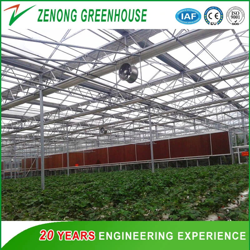 Modern Design Glass Greenhouse with Hot Galvanized Steel Framework Used for Agriculture/ Stock Farming/ Aquaculture/ Restaurant/ Scientific Research