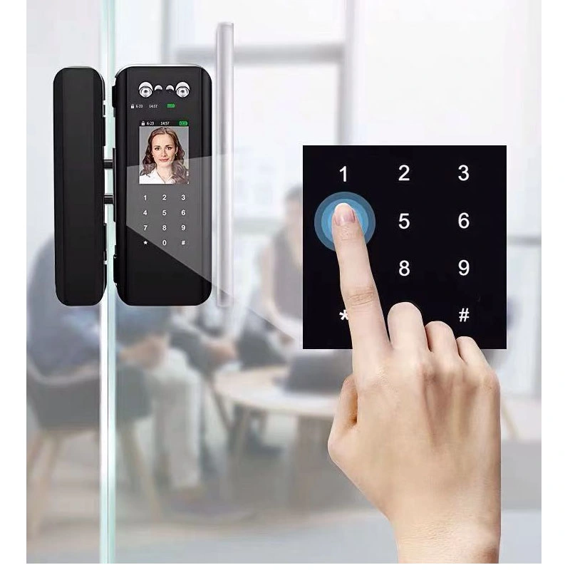 Face Palm Print Password Remote Unlock Glassdoor Smart Lock