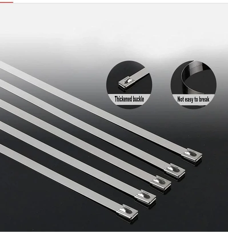 Cable Ties View Larger Image Factory Directly Provide High quality/High cost performance  Stainless Steel Zip Ties 4.6*500mm SS304 SS316 Stainless Steel Cable T