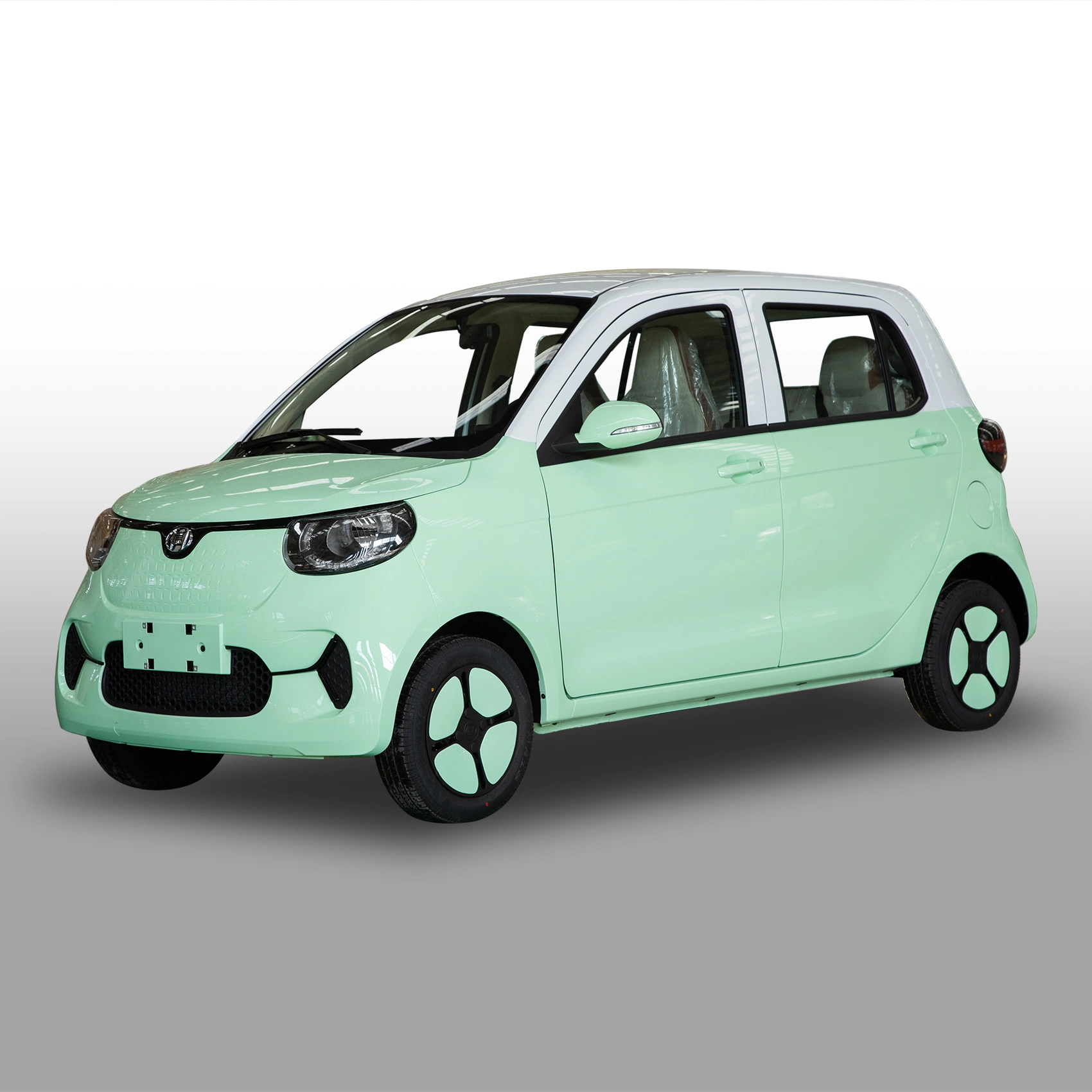 Popular Family Electric Vehicle Electric Car