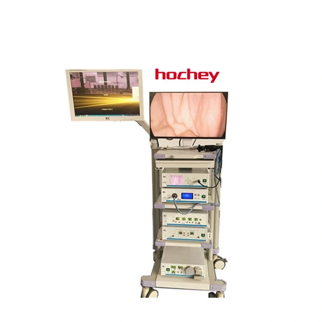 Hochey Medical Video Gastroscope and Colonoscope Endoscope Camera System