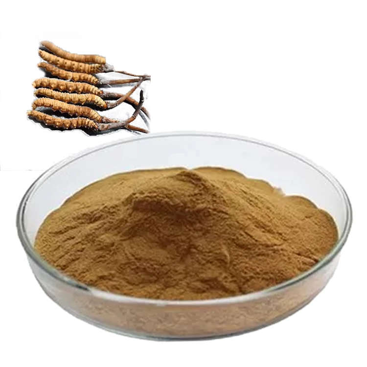 Mushroom Herbal Extract Cordyceps Miltiaris Cordyceps Sinensis Powder with HPLC-Ms