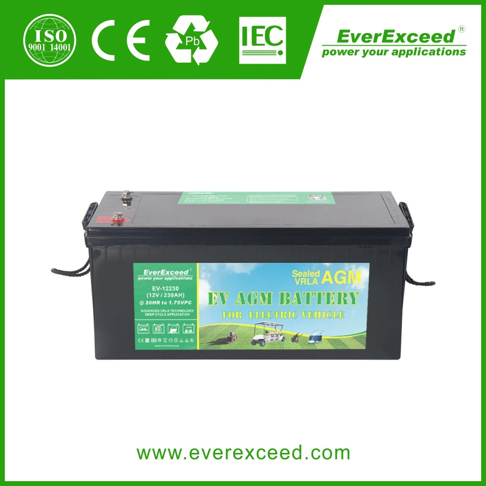 Everexceed 12V 80ah Deep-Cycle Gel Solar Battery VRLA/AGM/Rechargeable/UPS/Lead-Acid/Pack/6V/CSA