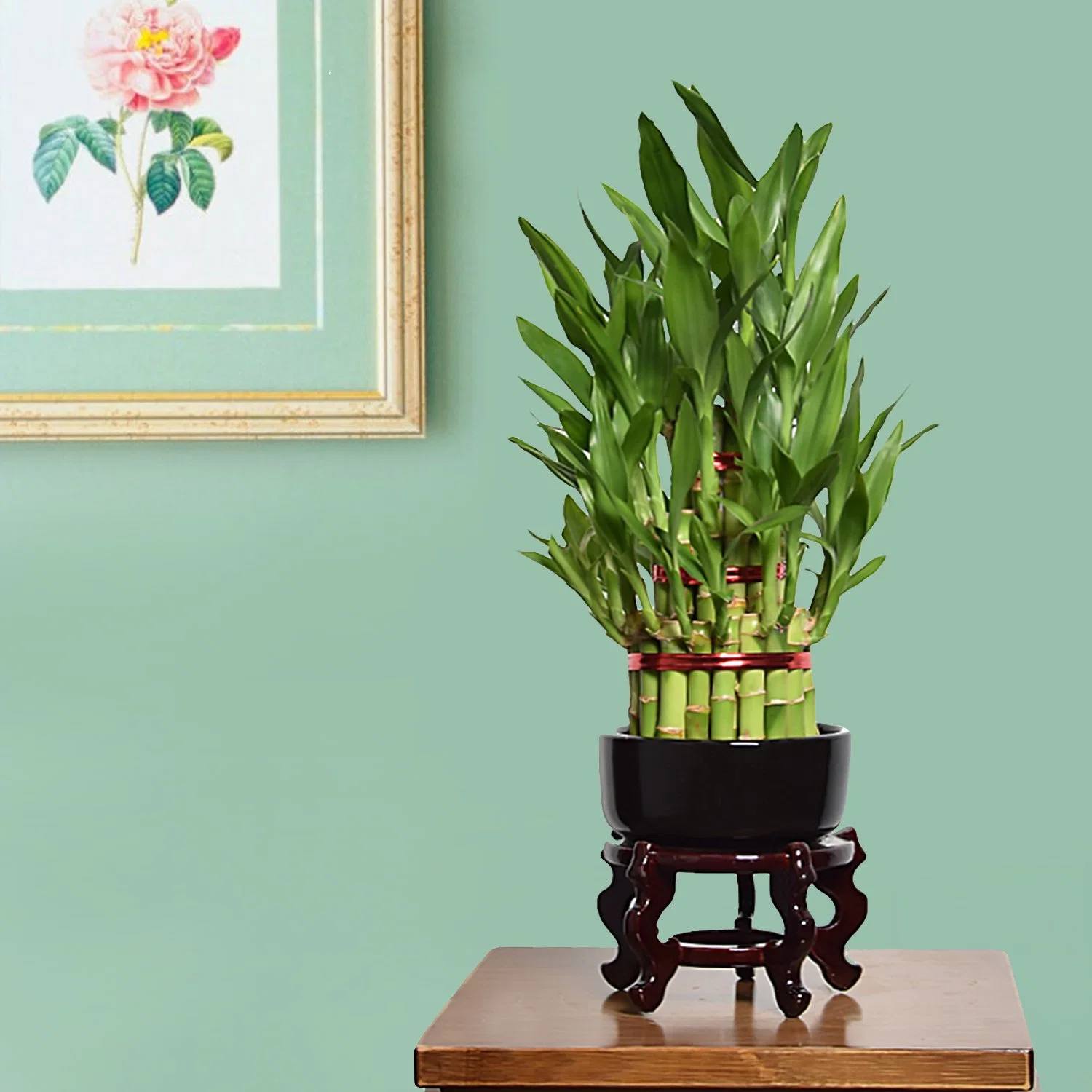 Зеленый S3 в корпусе Tower Dracaena Sanderiana Lucky Bamboo Завод детских