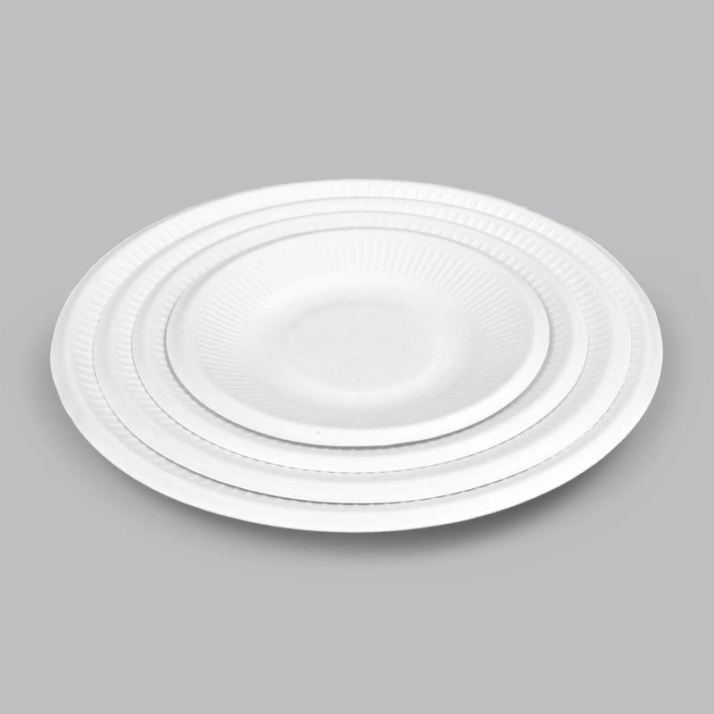 100% Compostable 10 Inch Heavy-Duty Plates [125-Pack]