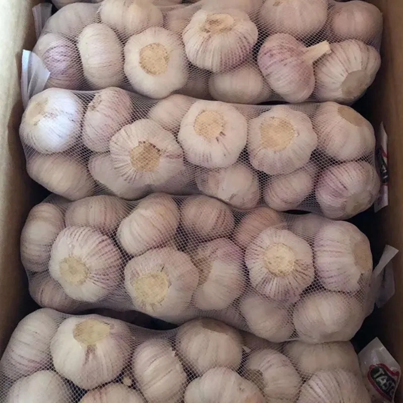 Export Fresh Fruits Vegetables China Wholesale/Supplierr Importer Exporter Buyers Garlic