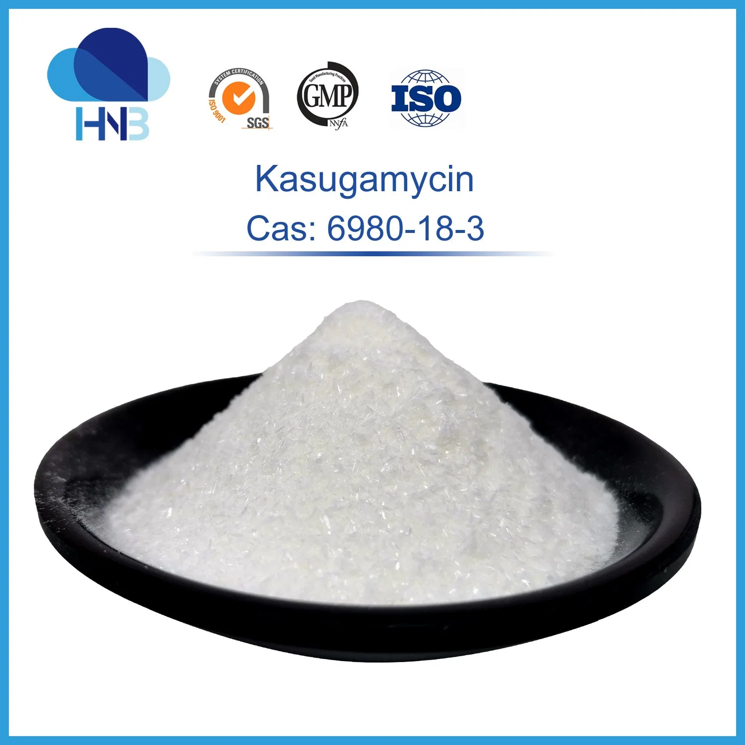 CAS: 6980-18-3 Kasugamycin Powder