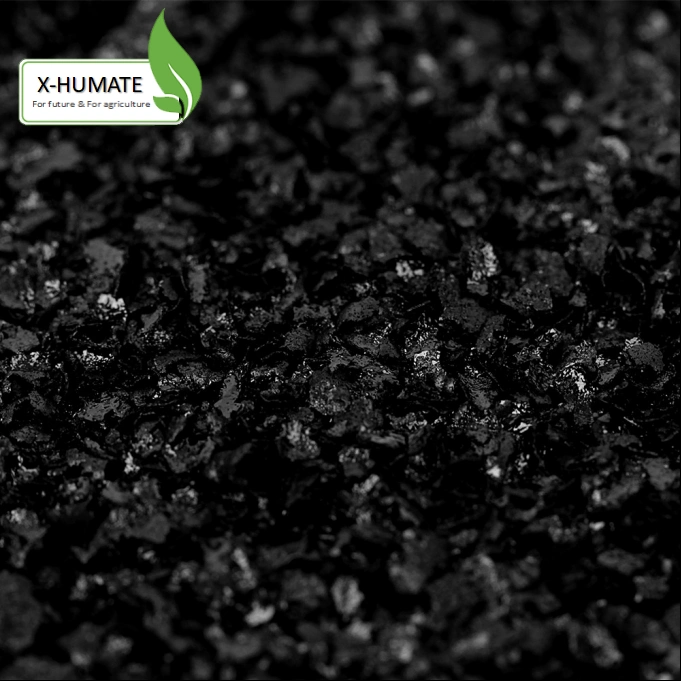 X-Humate Humic Manufacturer 98% Super Potassium Humate