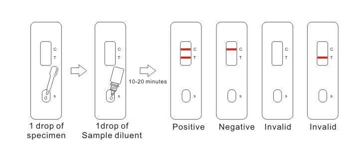 Runbio David One Step Hepatitis C Virus HCV Test Ivd Test Kit