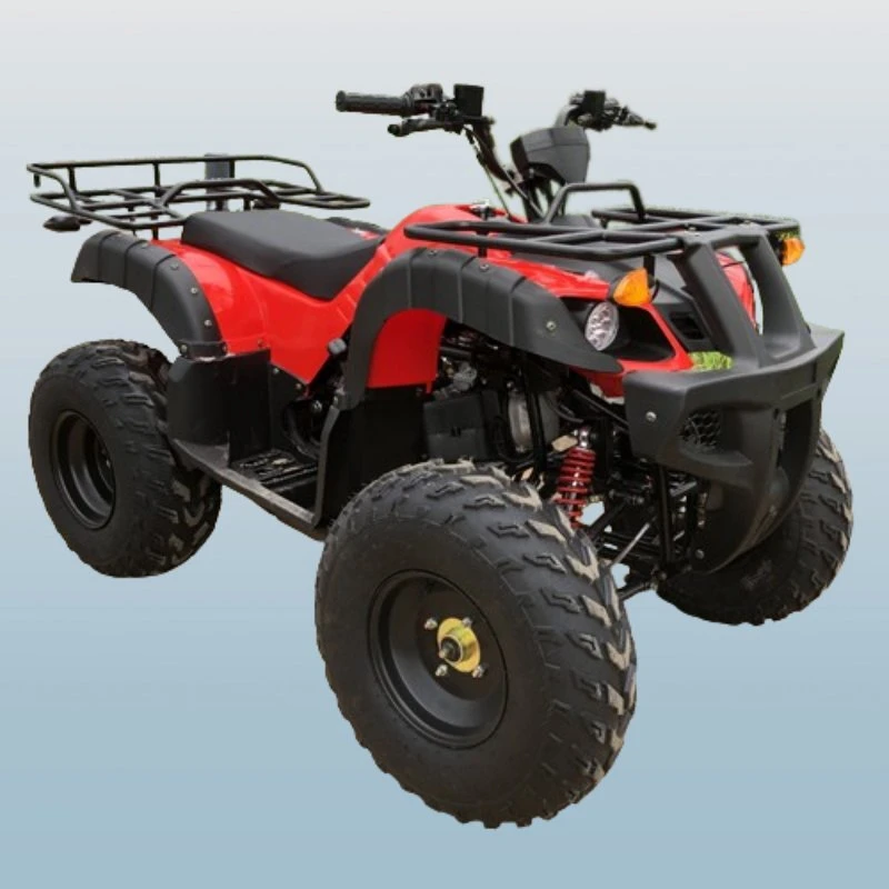 Youth and Adult Quad Bike ATV with 200cc Engine