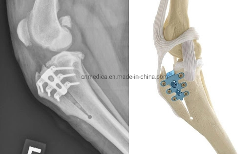 Orthopedic Veterinary Implant Surgery Tibial Tuberosity Advancement Tta Cages