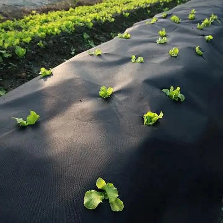 PP tela no tejida paisaje tejido tejido tejido Control de tejidos y Greenhouse Film Tejido agrícola