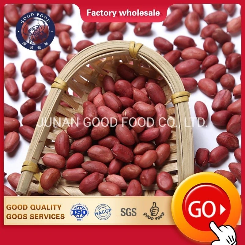 Ex-Factory Price Bulk Raw Organic Factory Price Red Skin Kernels Peanut