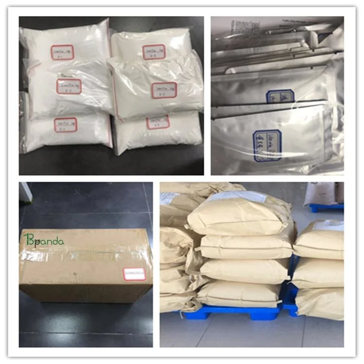 Nootropic CAS 69353-21-5 Bulk Galantamine Hydrobromide Powder