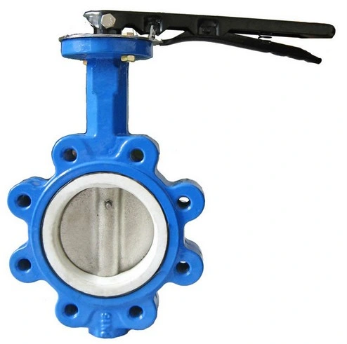 DIN ANSI JIS API Worm Gear Wafer Lt Butterfly Valve Dn100 Good Price Butterfly Valve