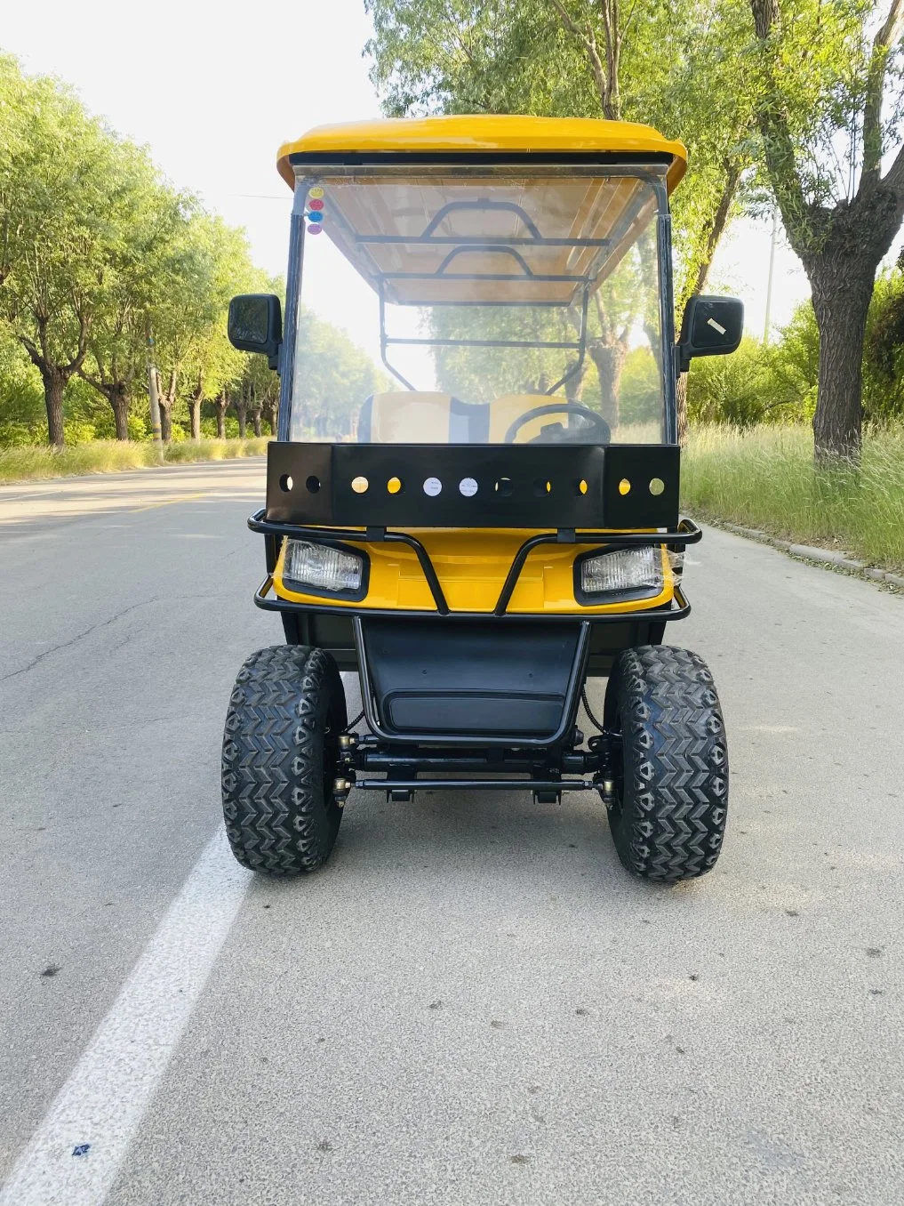 Carro do Golfo eléctrico e eléctrico com gás e luz LED