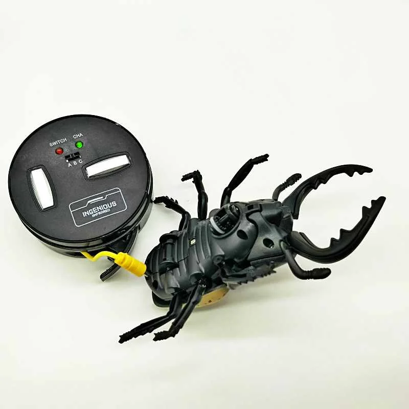 RC Beetle Simulated Insect Model Realistic Plastic Beetle Figures for Collection Science Educational RC Beetles Toy