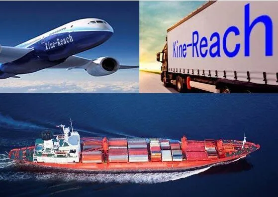 Mais barato FBA, DDP Sea Freight, melhor agente de expedição de despachantes da China para o Afeganistão