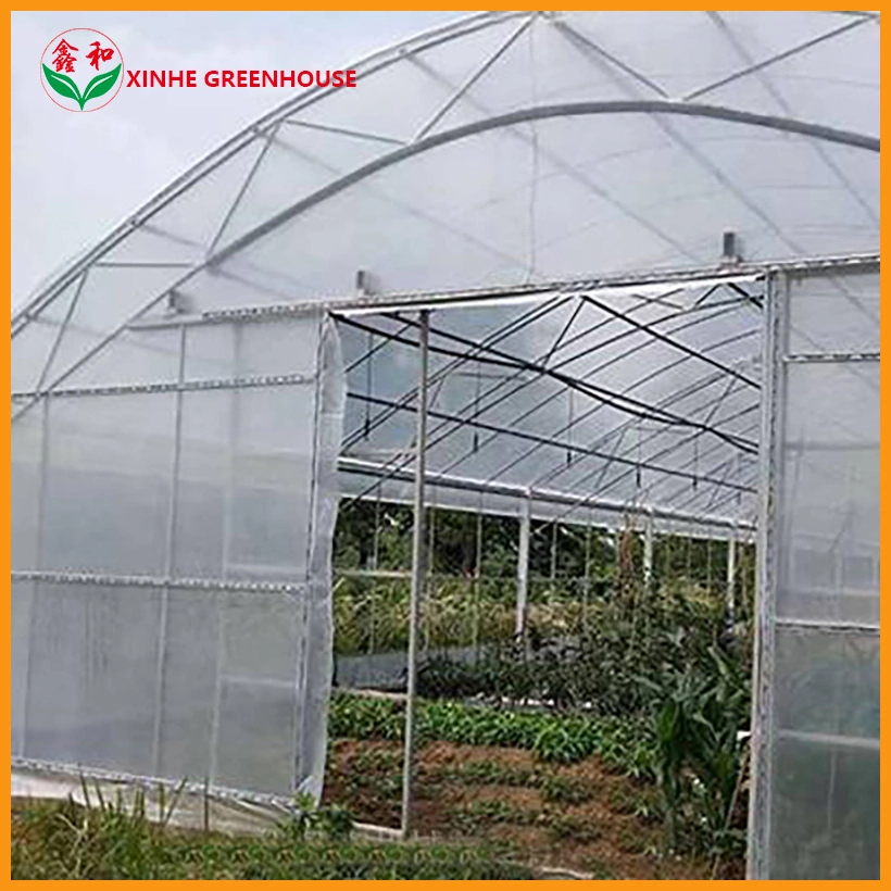 Hot-Galvanized Flowers Green House Agricultural with Plastic Film