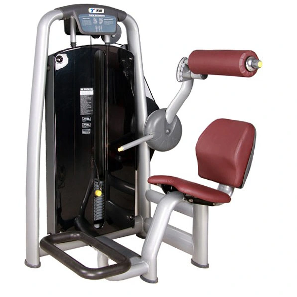 Back Extension Tz-6006 /Gym Use Fitness Machine for Sale