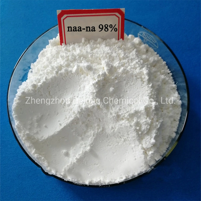 Rooting Hormone Water Soluble Naa Sodium Naphthylacetic Acid Naa-Na 98%Tc