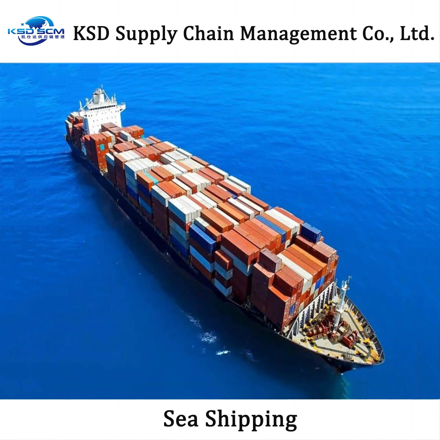 Qingdao Shipping Agent Sea Shipping Sea Cargo Freight Ship From China to Indian