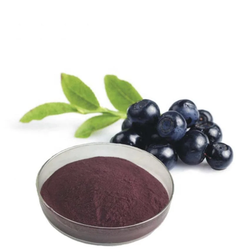 25% Anthocyanidins 36% Anthocyanosides Bilberry Herbal Extract Bulk Продажа Bilberry Извлеките