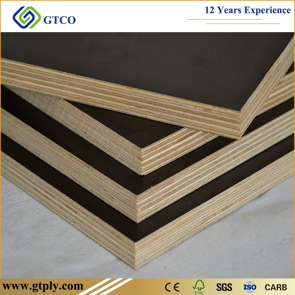 1220*2440mm Building Board Eucalyptus Core WBP Glue Film Faced Plywood