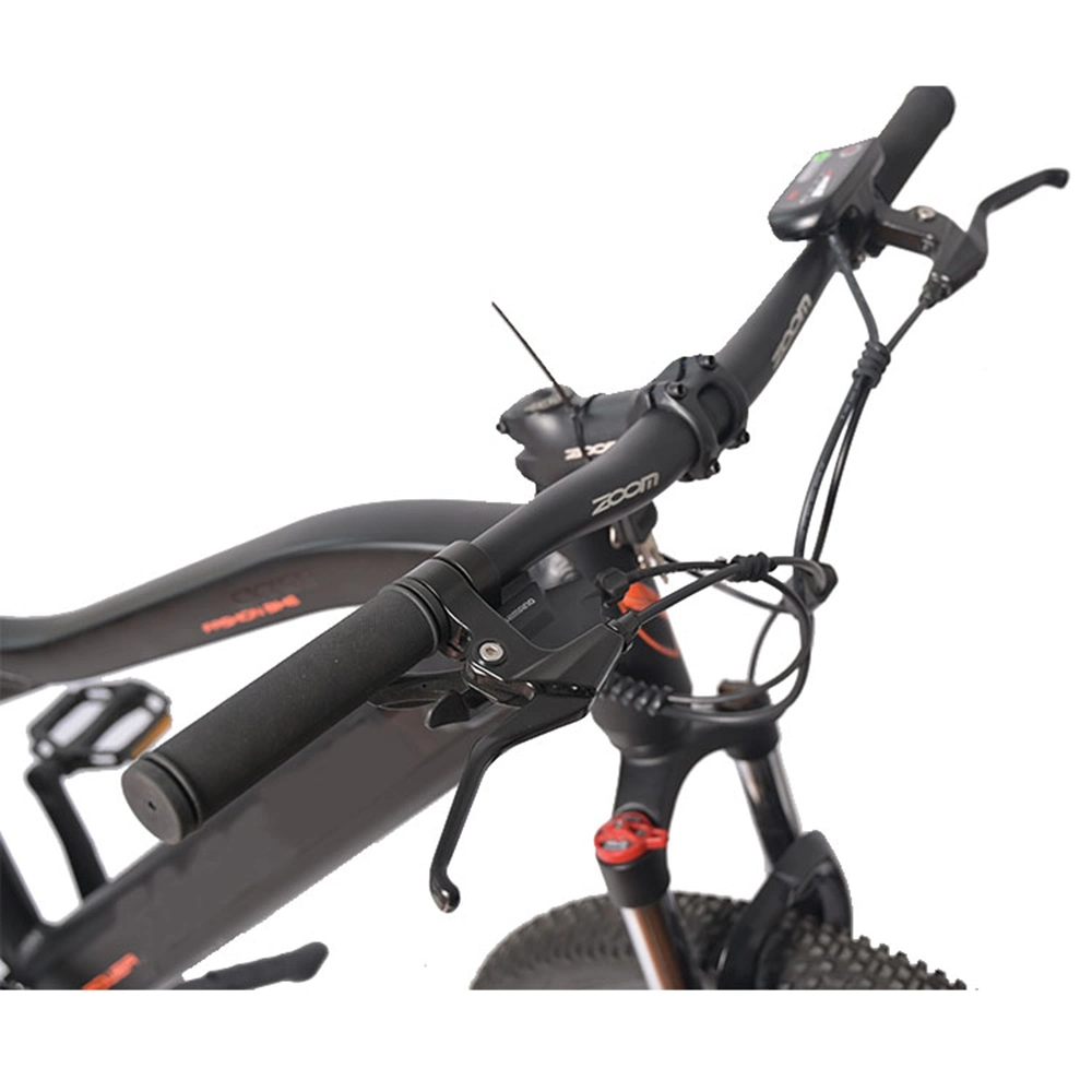 Electric Bike 29 "MTB/Electric Bike 28 Inch Mountain/Electric Bike 28 Inch Adult