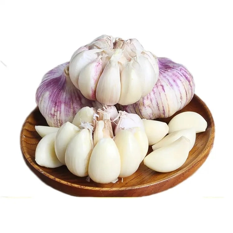 New Season Red Garlic Top Quality Offer China Fresh Garlic Factory Wholesale/Supplier