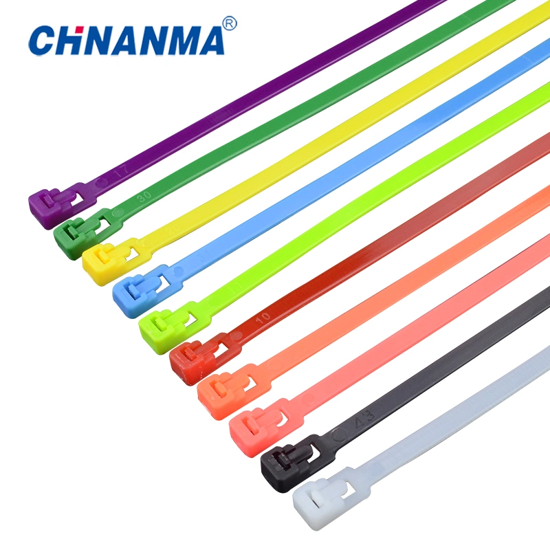 All Size Durable Plastic Self Locking Ss and Nylon 66 Cable Tie