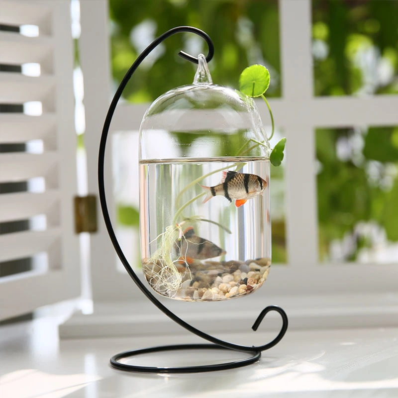 Wholesale/Supplier Clear Hanging Craft Terrarium Ball