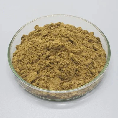 Supply 40% 80% Water Soluble CAS 65666-07-1 Silybin Milk Thistle Seed Extract Powder Silymarin