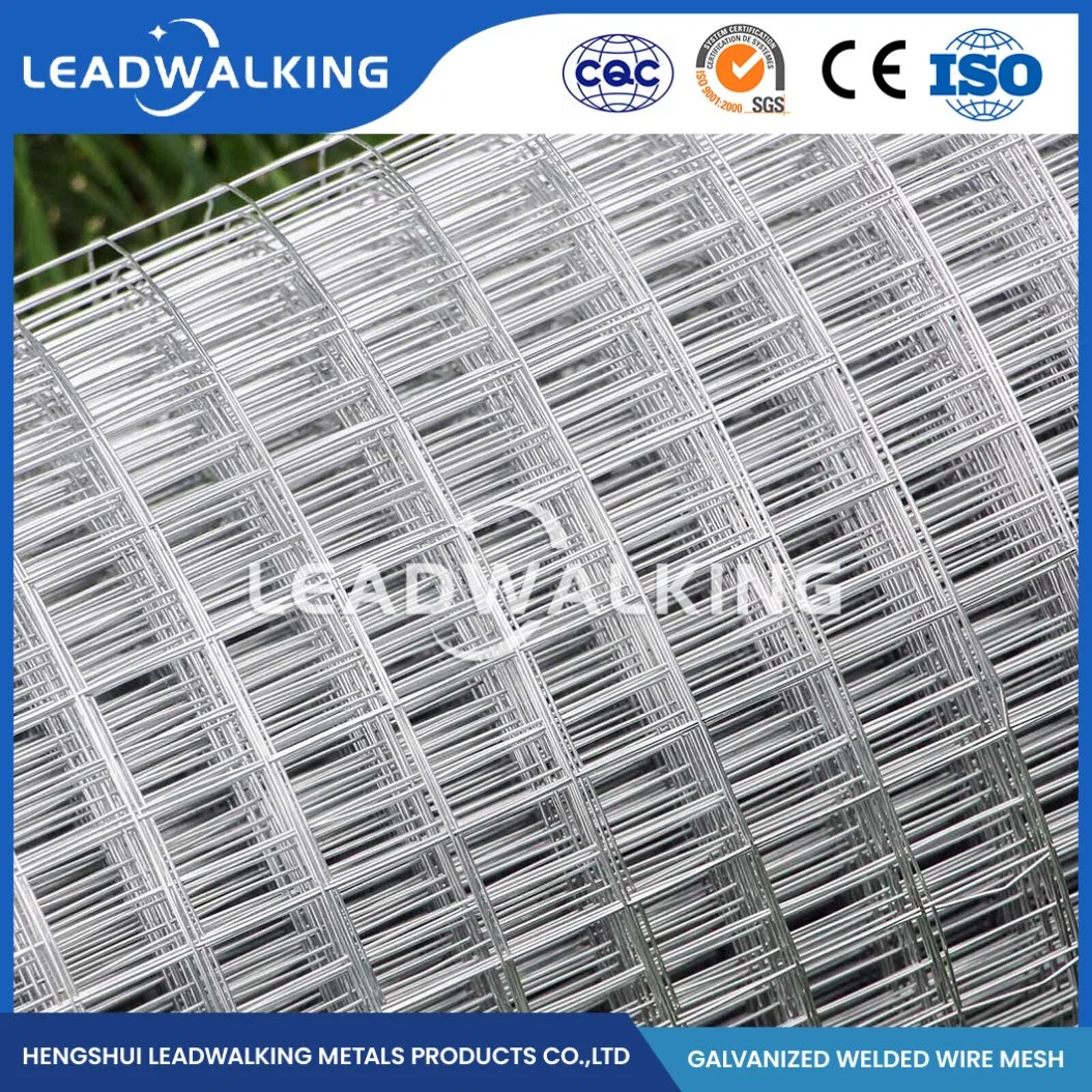 Leadwalking Plastic Welded Coated Wire Mesh Manufacturing Custom Square Welded Mesh China 1/2"X1/2" Inch Zinc-Coated Welded Wire Mesh for Fence