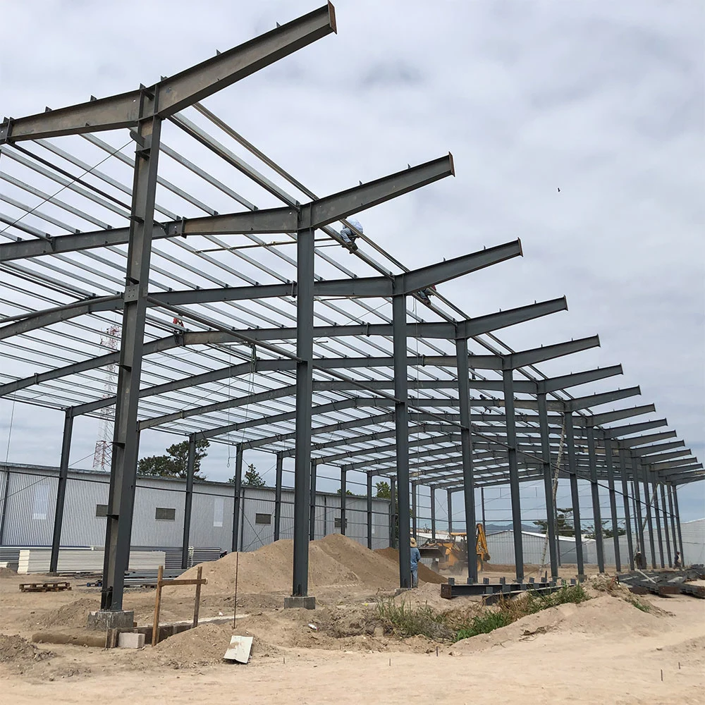 Easy to Build Steel Structure Buildings for Commercial and Agriculture Use