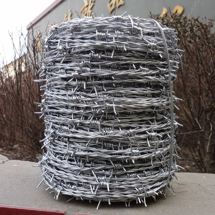 Hot-Dipped Galvanized Barbed Wire for Airport Prison Security Fence Electro Galvanized Barbed Wire for Fence