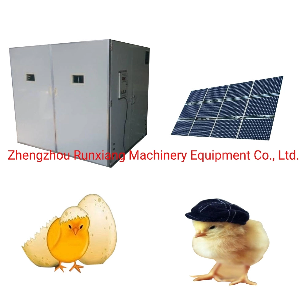 4000 Eggs Fully Automated Incubator Manufacturers Direct Sales