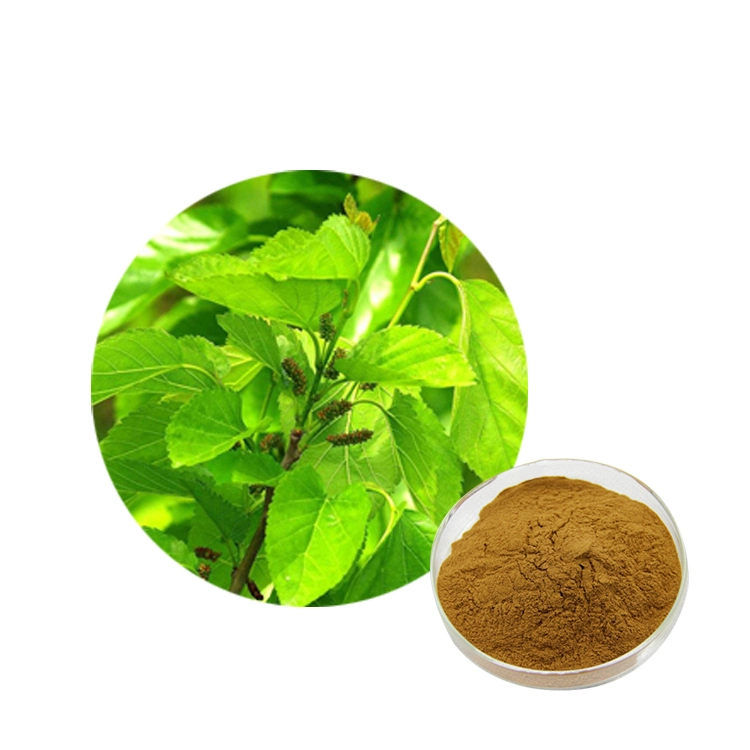 Comext Fssc 22000 China Manufacturer OEM Natural Mulberroside a Mulberry Leaf Extract