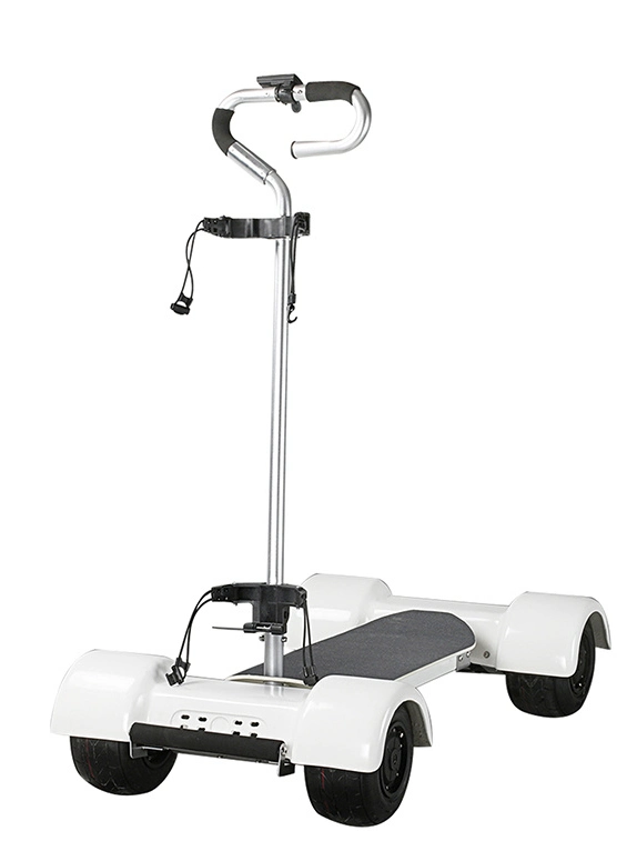 2023 Electric Four-Wheel Dual Drive 3000W Scenic Sightseeing Cruiser Scooter