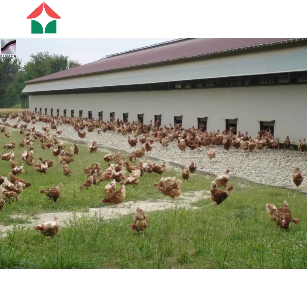 Hot Sale Mobile Easy Installation Hurricane Proof Steel Layer Eggs Chicken Hen Structure Poultry House