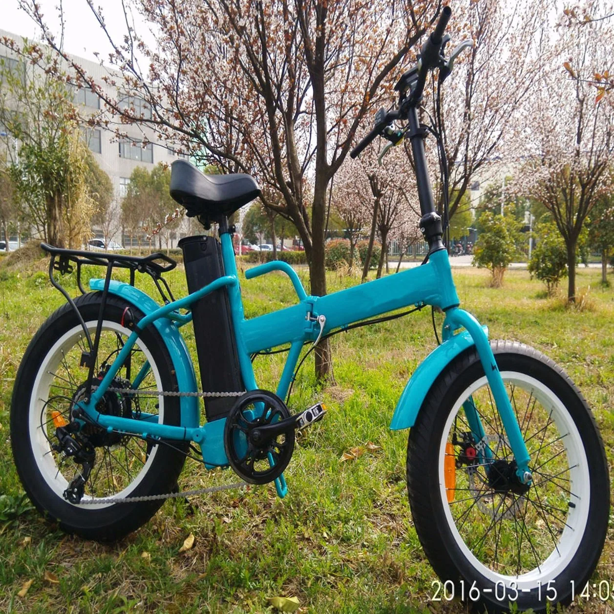 20 pulgadas 250W/350W/500W de la Grasa de plegado eléctrico neumático Ebike con CE