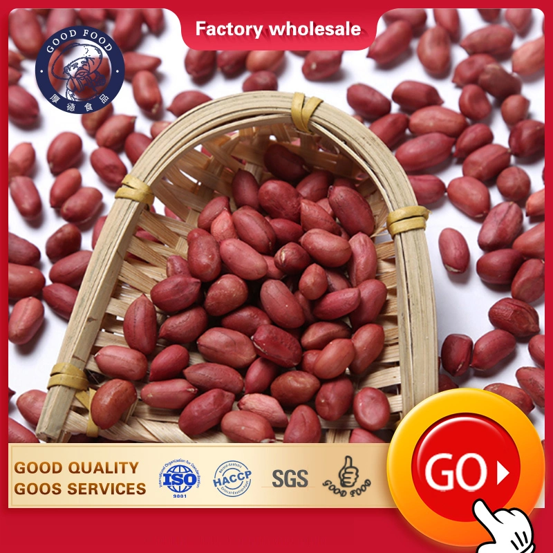 Dried Kernel Peanuts Groundnut Raw/Fresh Red Skin Arachid for Sale Craftsmanship