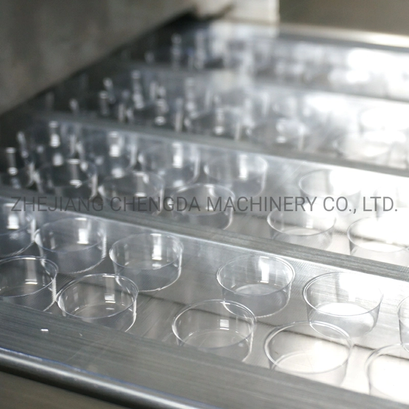 CD-250 Automatic Pharmaceutical Aluminum Plastic Capsule Auto Blister Packing Machine