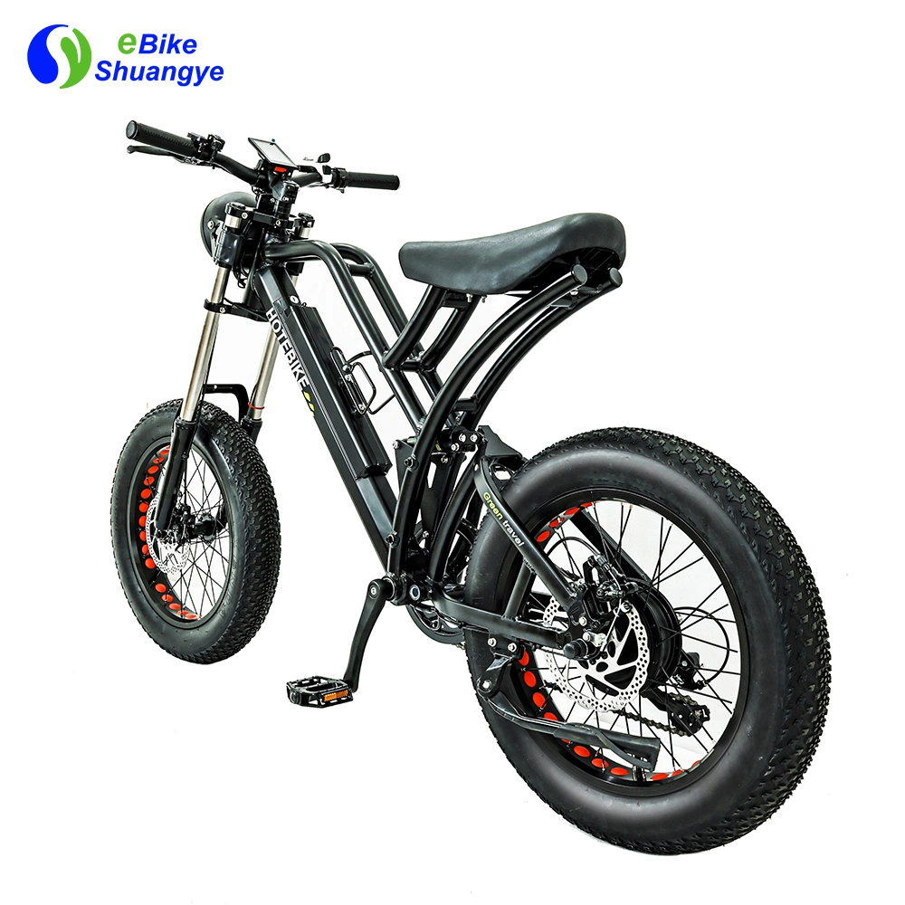 20 Zoll Customized Full Suspension Electric Bicycle Fat Tire Ebike 500W 750W Motor E Dirt Bike