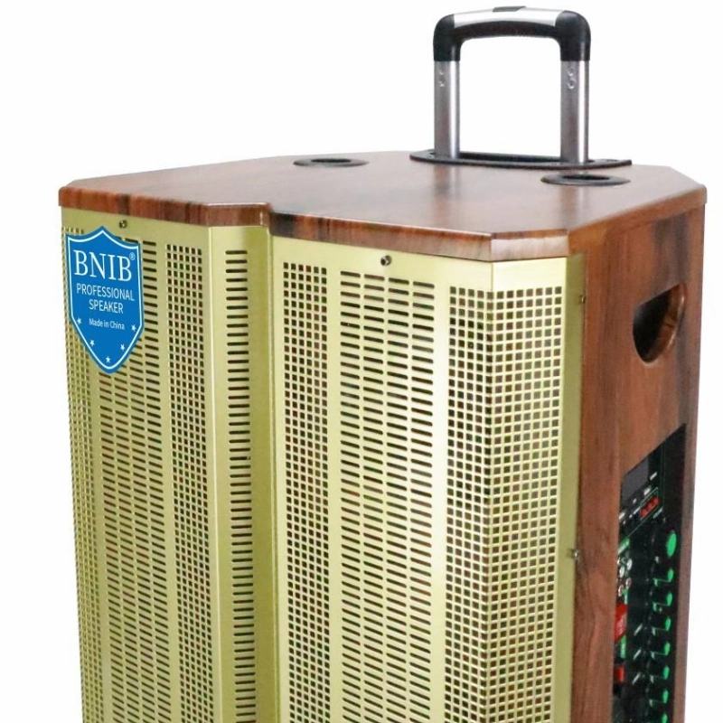 2023 New Arrivals Karaoke Speaker Outdoor Speaker Wooden Sound